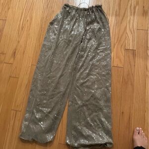 Muse Shimmery Silver Elastic-Waist Wide-Leg Pants